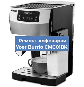 Ремонт капучинатора на кофемашине Yoer Burrio CMG01BK в Ростове-на-Дону